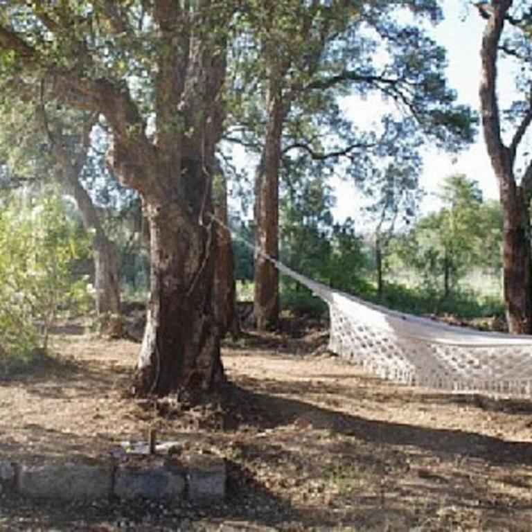 QUIET COTTAGE NEAR CITY CENTER - Casa con 2 Camere da Letto - 7
