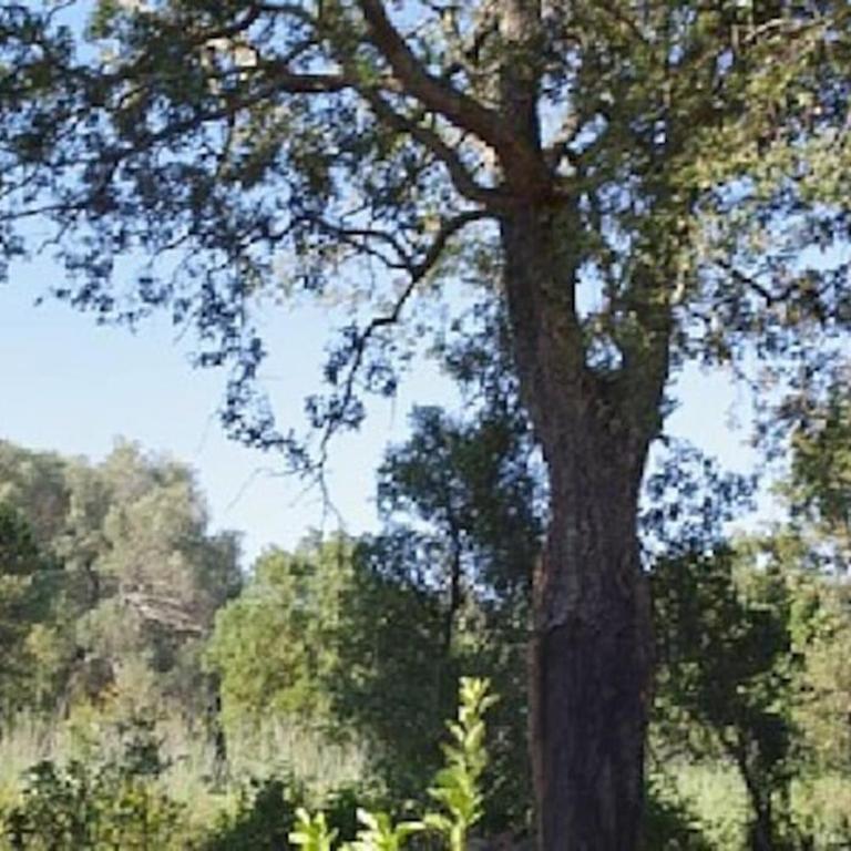 QUIET COTTAGE NEAR CITY CENTER - Casa con 2 Camere da Letto - 12