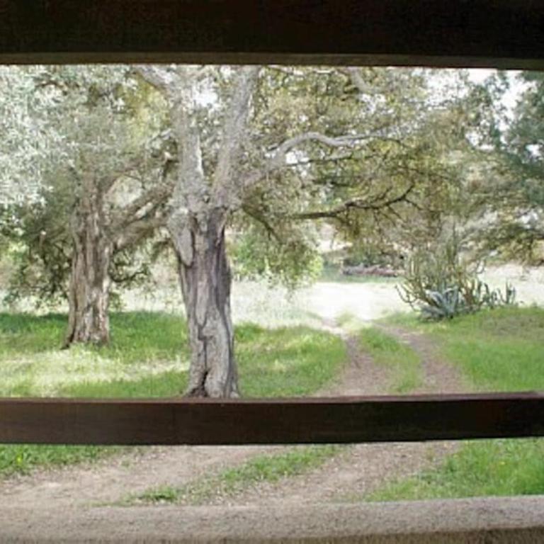 QUIET COTTAGE NEAR CITY CENTER - Casa con 2 Camere da Letto - 19
