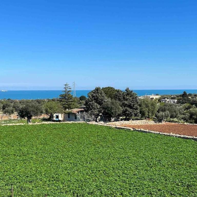 Fusella Country House - Private Villa - One-Bedroom Apartment - 30