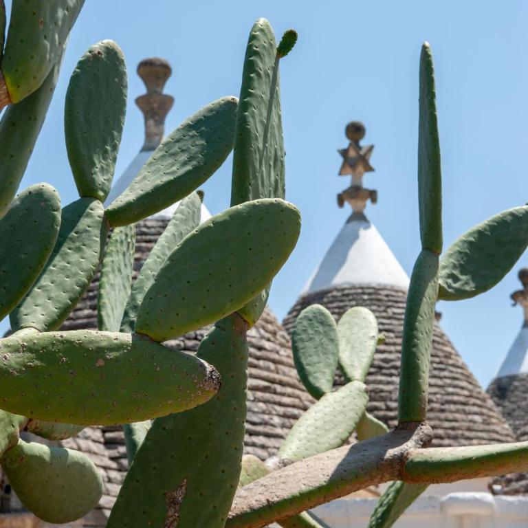Trulli Boccadoro - Trullo con 2 Camere da Letto - 32