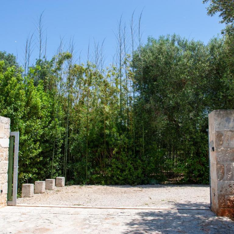 Trulli Boccadoro - Trullo con 2 Camere da Letto - 10