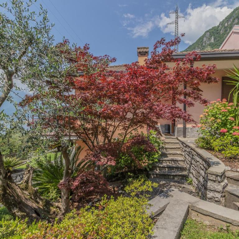 Candy House - Chalet con 2 Camere da Letto - 44