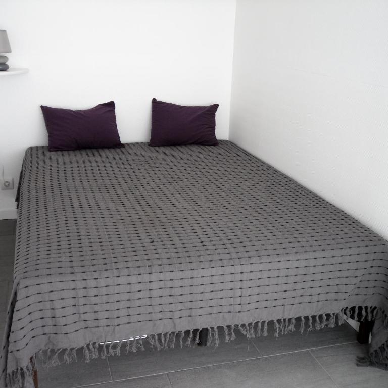 Appartement 30m2 classé 2 étoiles Atout France 200m port plages commerces - Apartment mit 1 Schlafzimmer - 9