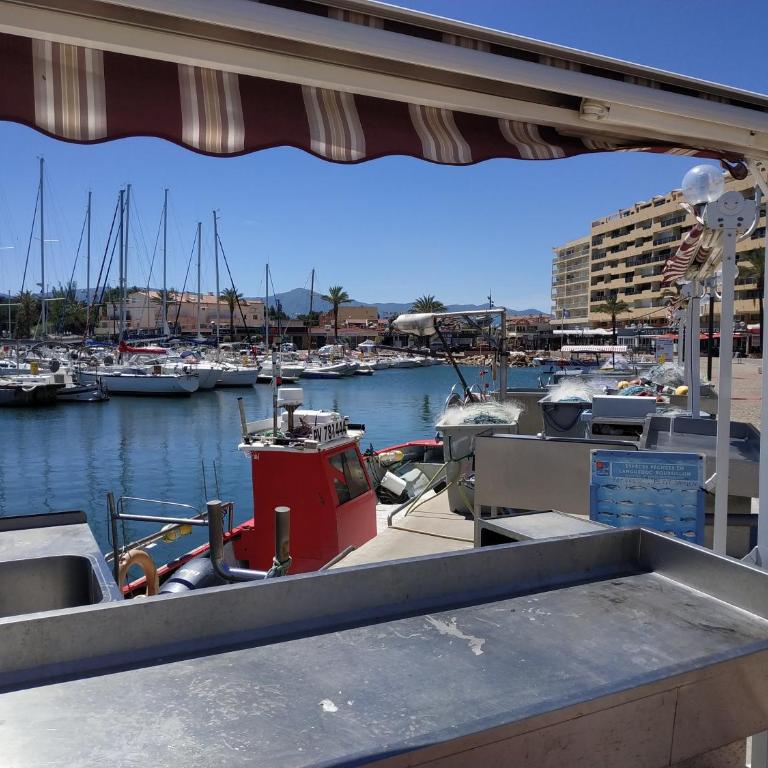 Appartement 30m2 classé 2 étoiles Atout France 200m port plages commerces - Apartment mit 1 Schlafzimmer - 1