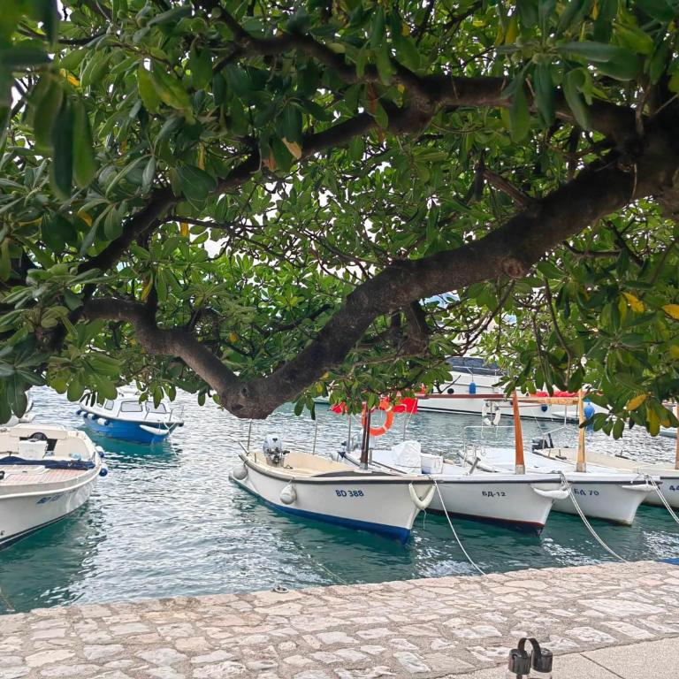 Studio Apartment Danka Old Town Budva - One-Bedroom Apartment - 34