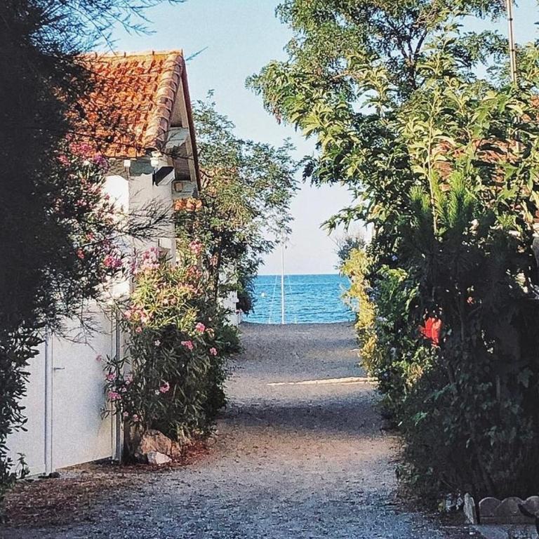 Appartement au Racou à 100m de la plage avec piscine et parking - FR-1-732-7 - Appartement - 6