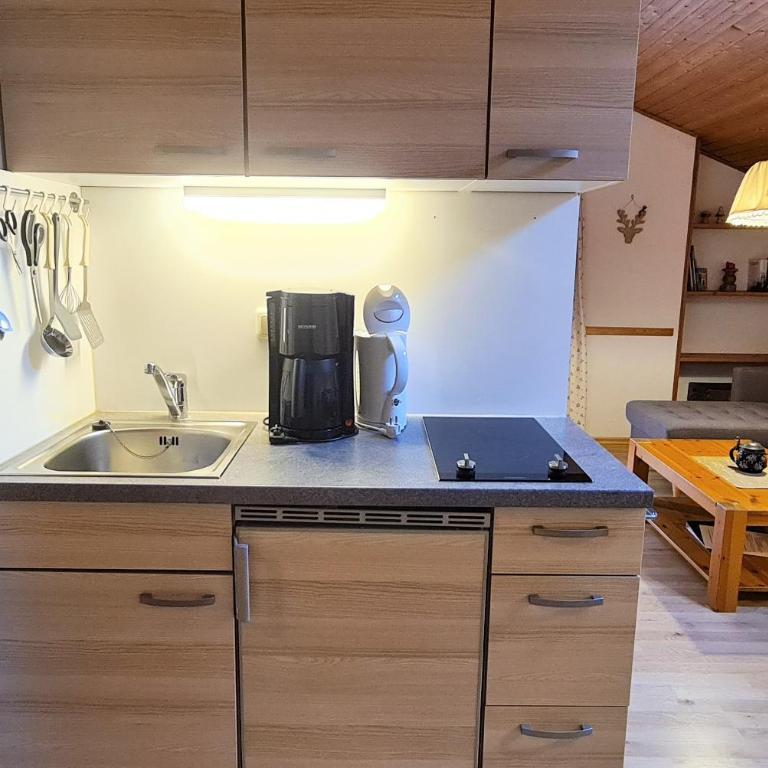 Ferienwohnung Fagstein - Appartamento con Vista Montagna - 3