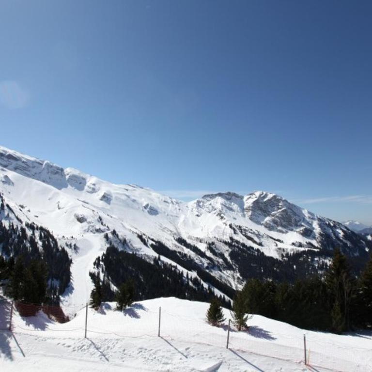 Appartement 3 pièces 6 pers à Avoriaz, balcon Sud-Ouest - Appartement 2 Chambres - 2
