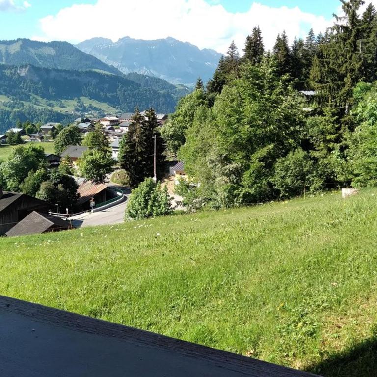 Studio confortable 4 pers, proche pistes, centre et commerces - Studio - 6