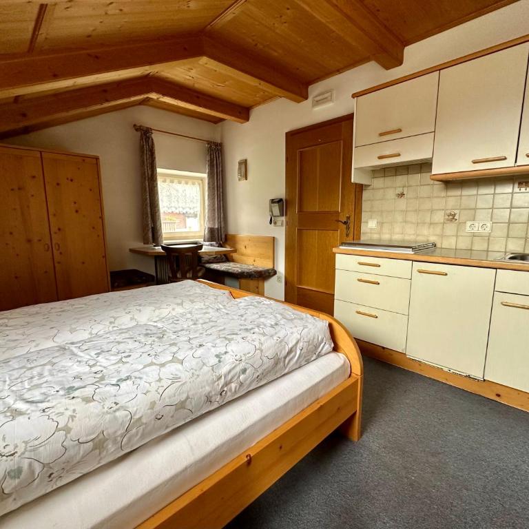 APARTMENTS Gasser - Appartamento con doccia - 2