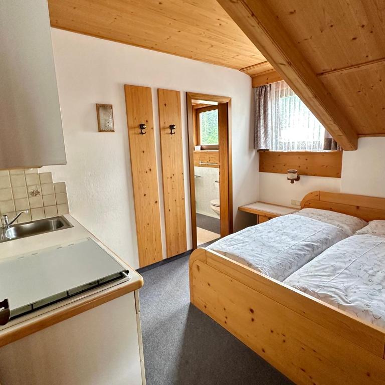 APARTMENTS Gasser - Appartamento con doccia - 3
