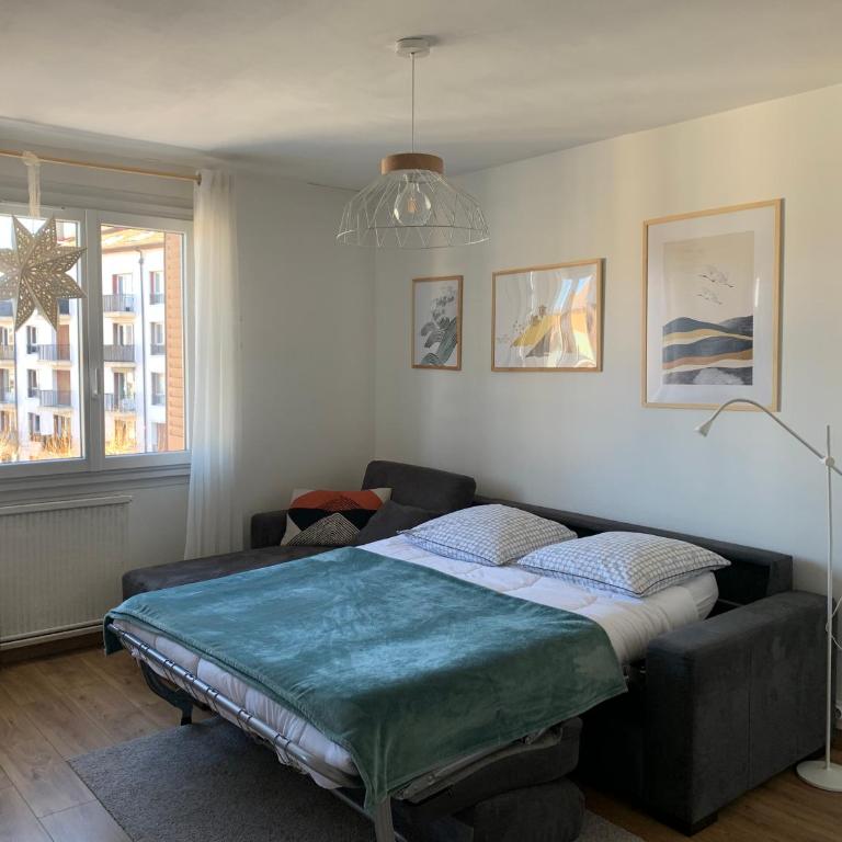 Appartement Cosy proche du centre - Appartamento con 1 Camera da Letto - 8