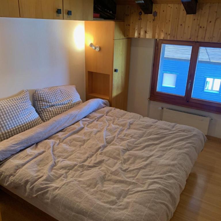 Apartment Alps View -Mont Rouge Veysonnaz - Appartement 1 Chambre - 13