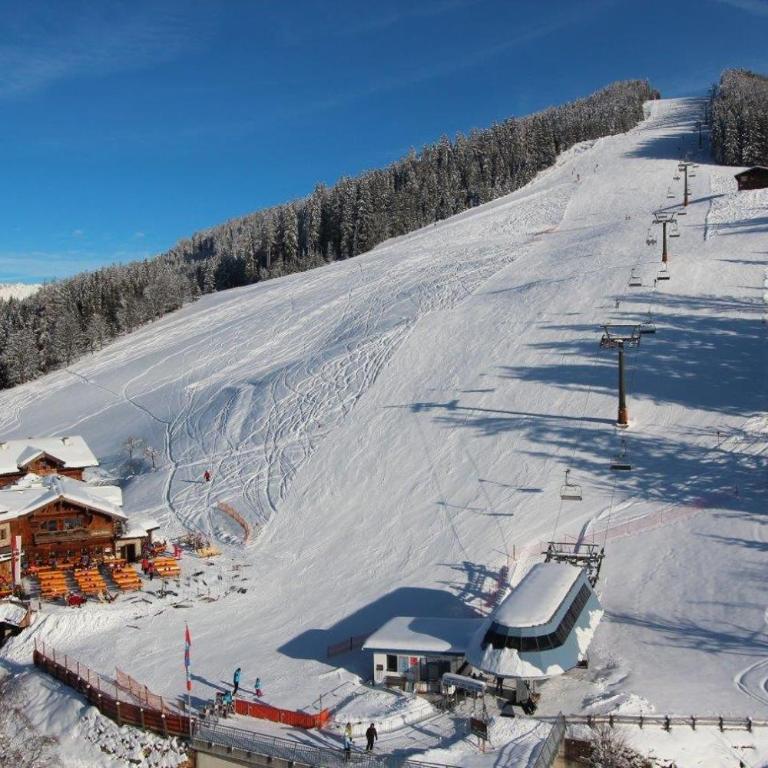 Bifeis Hütte - Apartamento de 2 dormitorios con terraza - 37