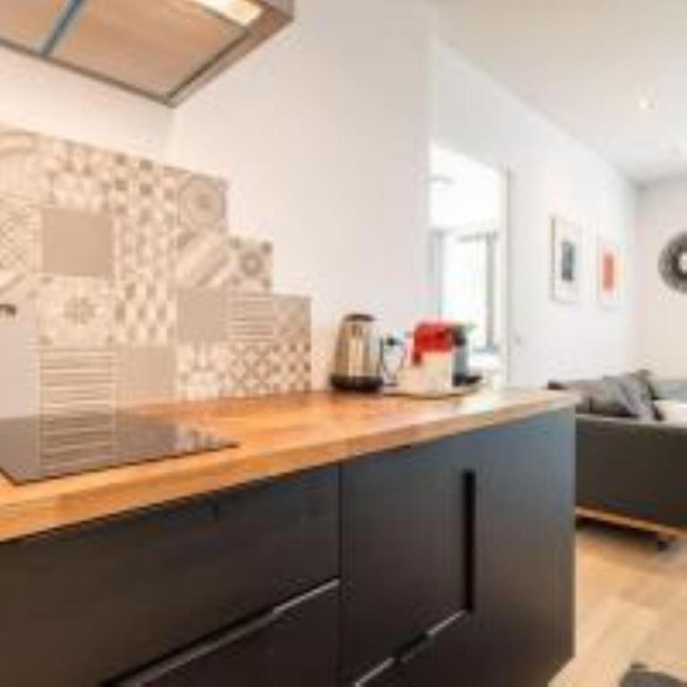 "Le petit bonlieu" au centre ville et à 300 m du lac - Apartment mit 1 Schlafzimmer - 15
