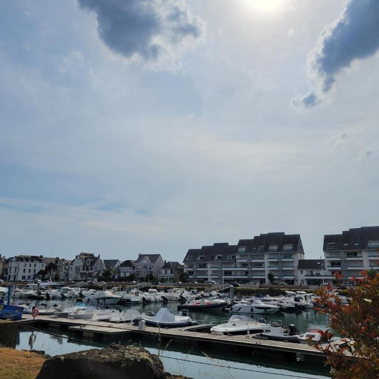 L'Élégance à La Bauloise entre plage Benoît et port du Pouliguen - court de tennis et parking - Appartamento con 2 Camere da Letto - 29
