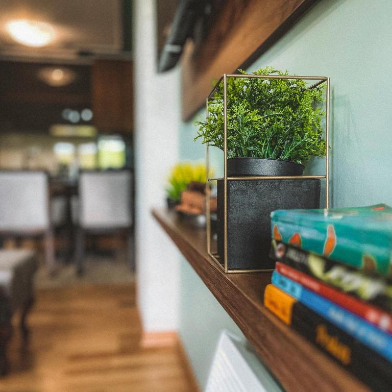 Apartments 24&26 - One-Bedroom Apartment - 22