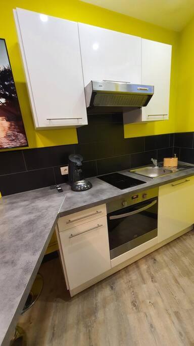 Duplex T2 Neuf Jardin Lecoq - Appartement 1 Chambre - 10