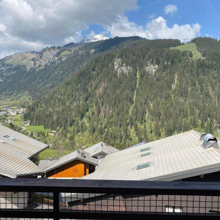 Charmant appartement à Châtel près des pistes et du lac, avec balcon - 25m², parking inclus - FR-1-693-43 - Studio - 12