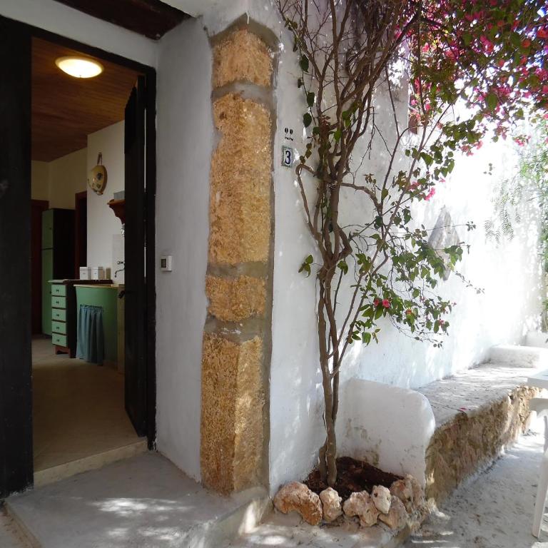 Casa degli Ulivi 21 - Appartamento con 1 Camera da Letto - 5