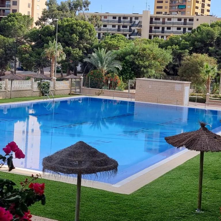 Vaiana - Apartamento de 1 dormitorio - 7