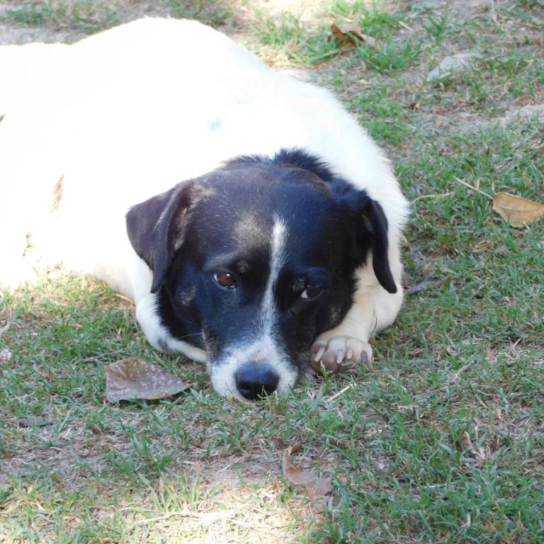 Un lugar en el mundo - Apartamento de 1 dormitorio - 41