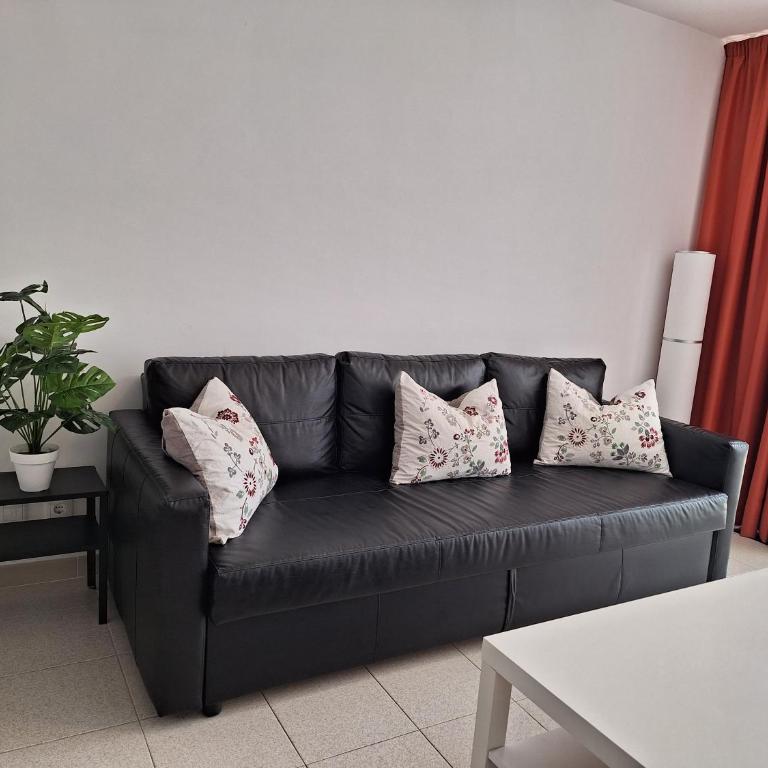 Casa Naranja - your spacious and comfortable home in Playa - One-Bedroom Apartment - 21