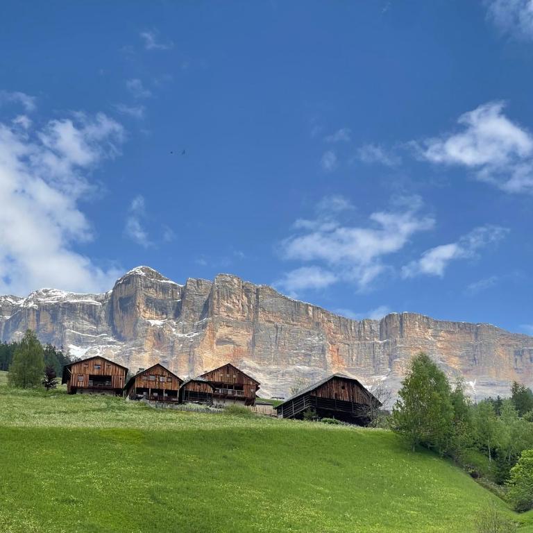 DOLOMITISCAPE CHALET - Chalet - 64