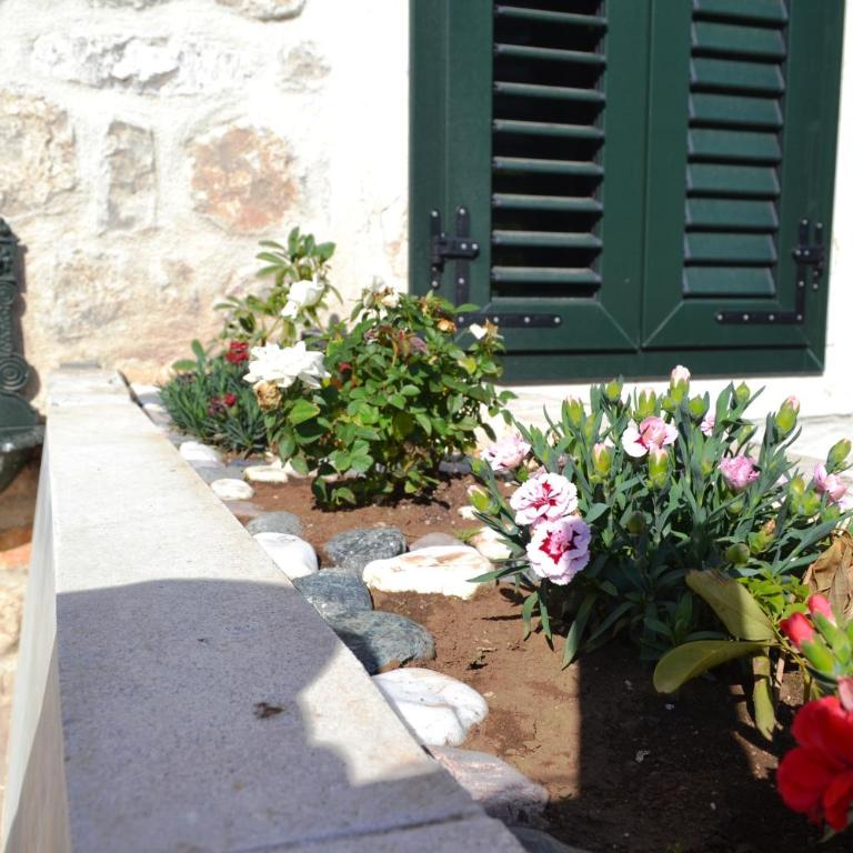 Lanterna Apartments - One-Bedroom Apartment - 18
