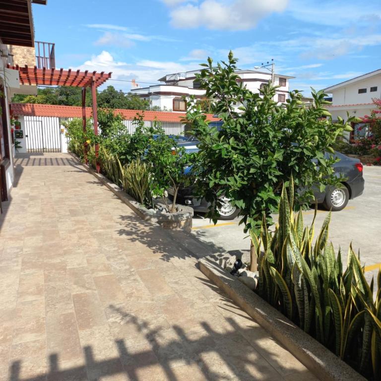 Katamar - Three-Bedroom Apartment - 2