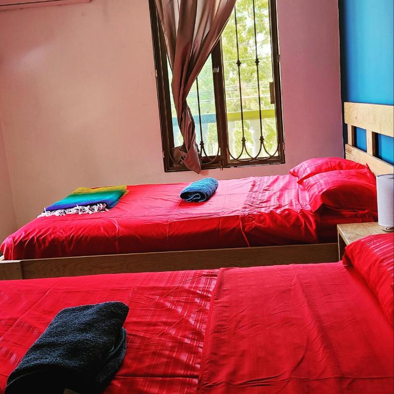 Sundaze Homestay - Family Room - 6