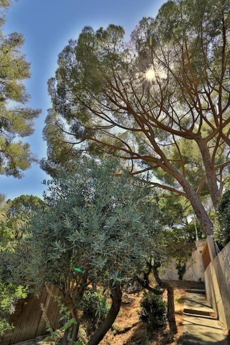 Vue mer, Piscine - Appartement Cosy Place - Two-Bedroom Apartment - 27