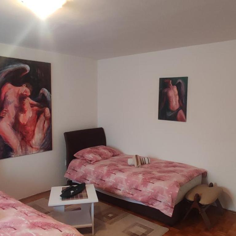 City Centre Apartament - Apartman sa 2 Spavaće Sobe - 12