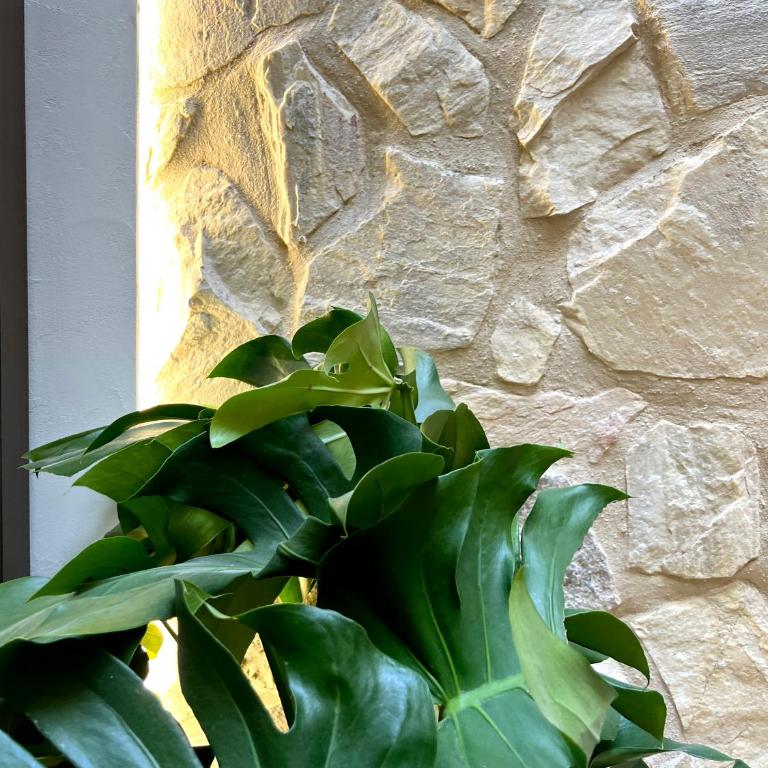 Arcos de Medina - Apartamentos premium - Three-Bedroom Apartment - 30