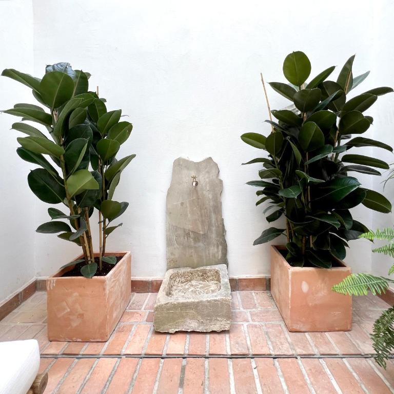 Arcos de Medina - Apartamentos premium - Two-Bedroom Apartment - 27
