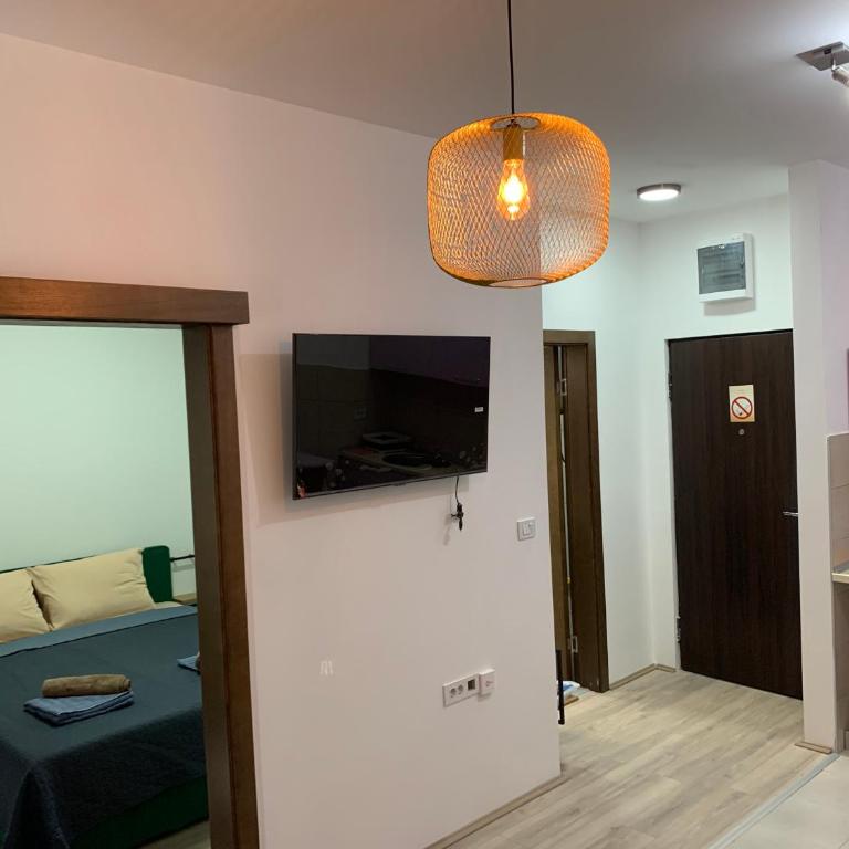 De Lux Nedeljkovic - Apartman sa 1 Spavaćom Sobom - 49