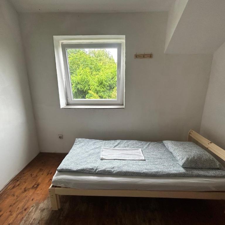 Belgrade Hostel Shambala - Jednokrevetna Soba sa Zajedničkim Kupatilom - 4