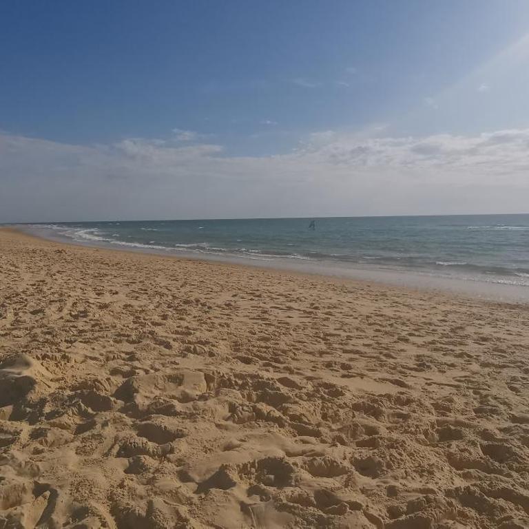 Rêve de Bisca Appartement spacieux climatisé avec jardin privatif piscine et parking privés - Appartement 1 Chambre - 58