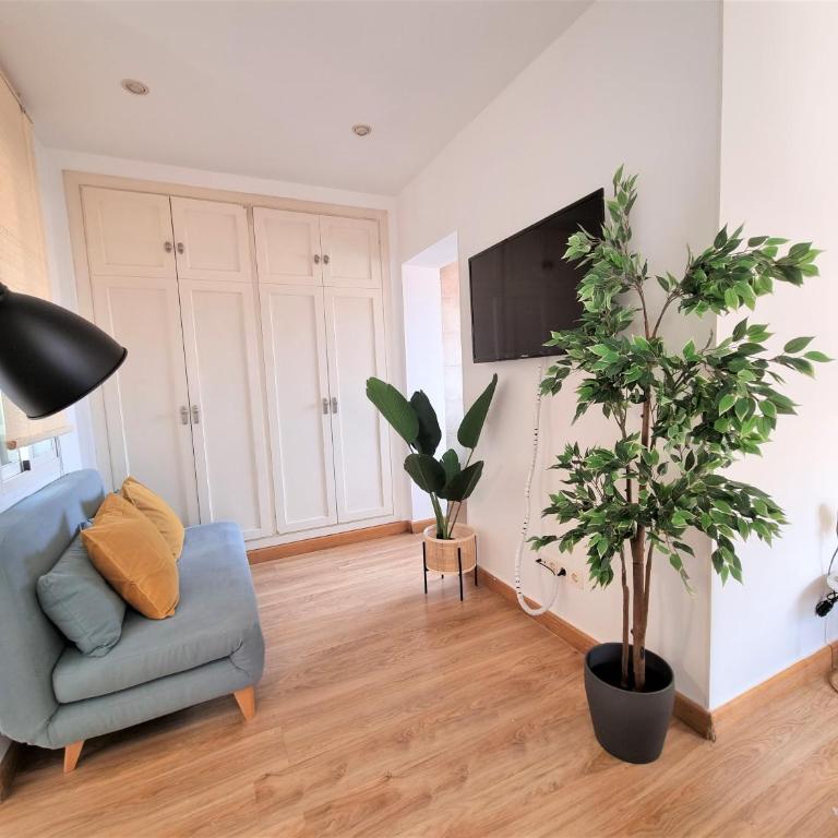 MOLINA - LA LATINA - Single Room with Terrace - 4
