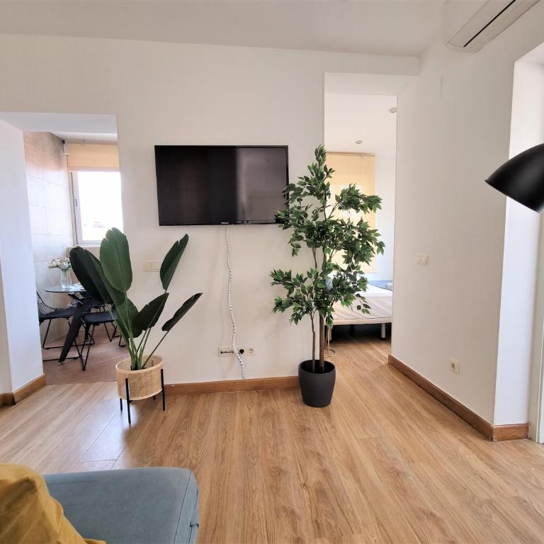 MOLINA - LA LATINA - Single Room with Terrace - 5