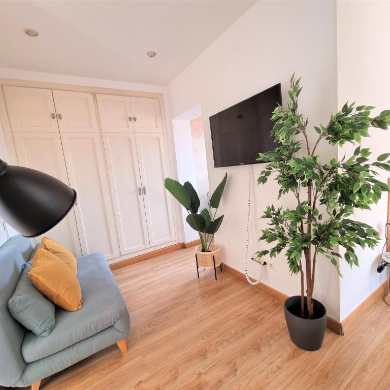 MOLINA - LA LATINA - Single Room with Terrace - 8