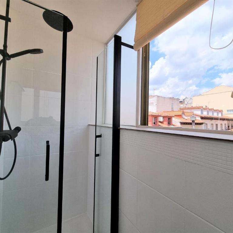 MOLINA - LA LATINA - Single Room with Terrace - 15