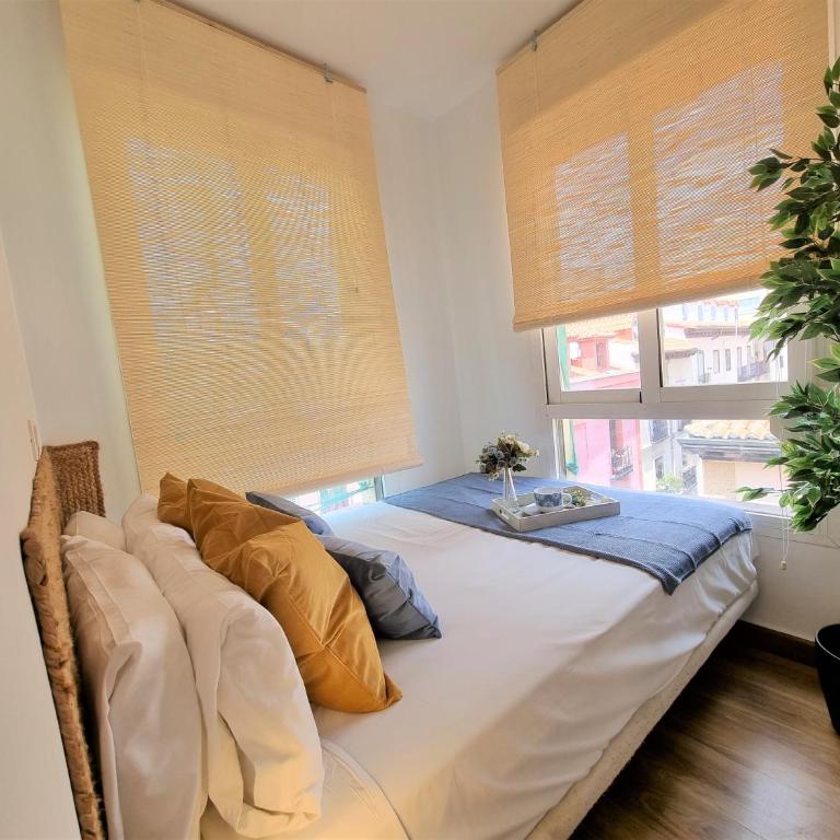 MOLINA - LA LATINA - Single Room with Terrace - 19