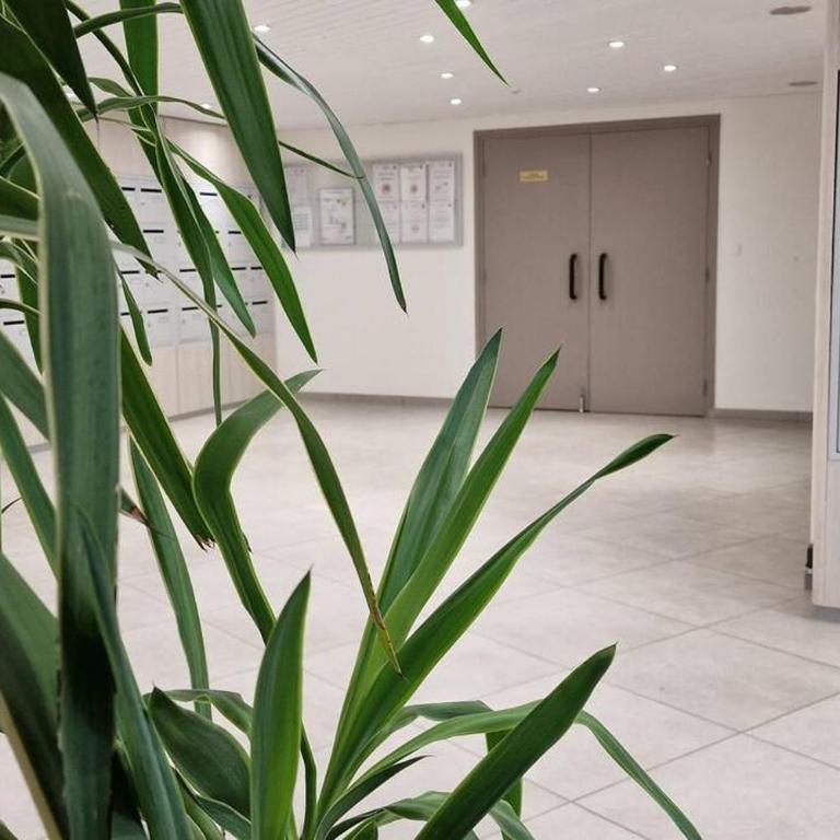 Appartement La Baule Le Cocon des Lilas - Estudio - 9