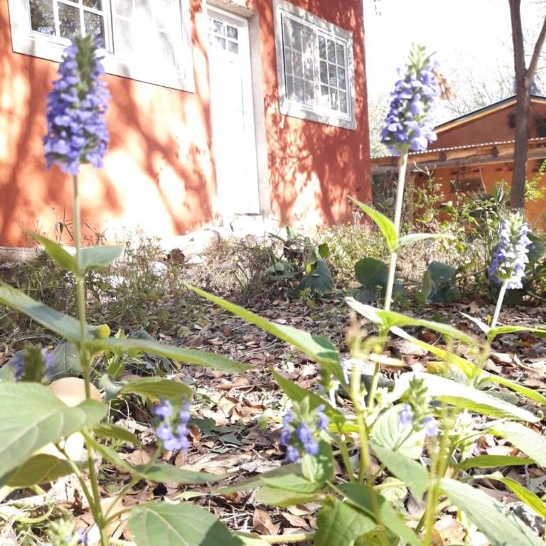 El Bosquecito, Casita rodeada de bosque - Casa de 2 dormitorios - 6