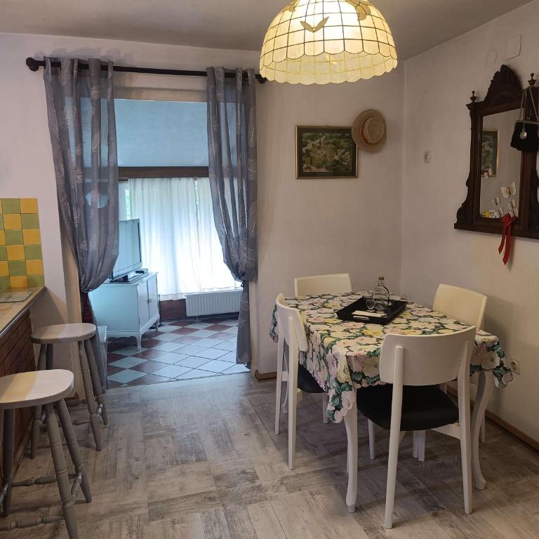 Haus Viktoria near Banja Luka - Two-Bedroom Apartment - 9