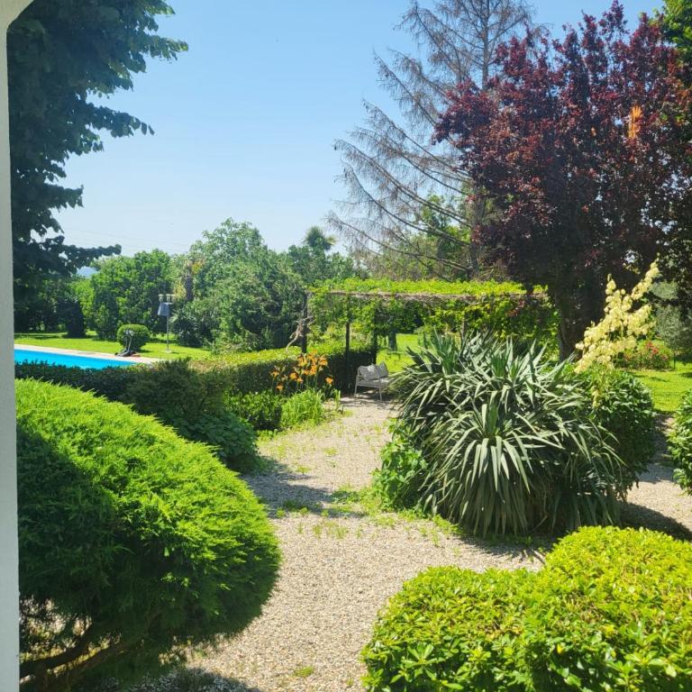 Terre Etrusche Guest House - Junior Suite - 3
