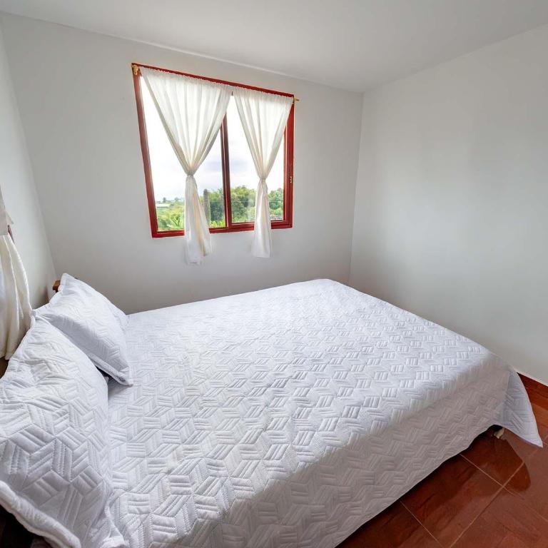 Rancho Chihuahua - Apartamento - Planta baja - 1