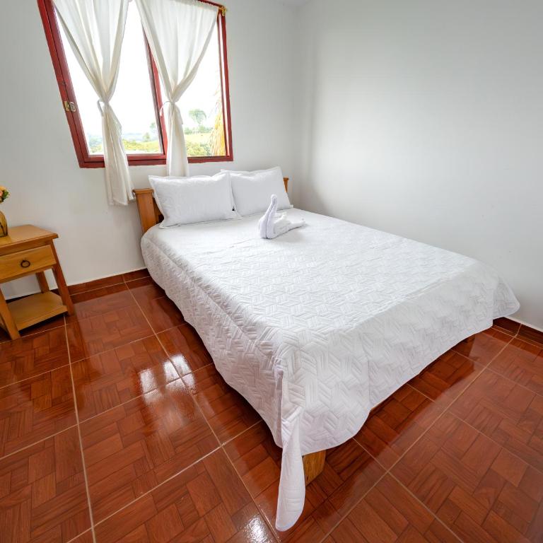 Rancho Chihuahua - Apartment - Ground Floor - 11